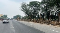 Akhir Desember, Pelebaran Jalan Sisingamangaraja Rampung