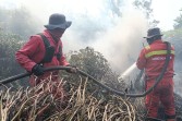 Pemkab Pelalawan Tetapkan Status Tanggap Darurat Bencana Karhutla