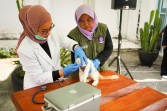 11 Daerah di Riau Masih Tertular Rabies