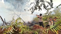 Tim Gabungan Padamkan Karhutla 10 Hektare di Lahan Gambut Pelalawan