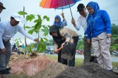 Afni Ajak Warga Rawat Pohon, 5.050 Bibit Ditanam di Jalur Mempura-Dayun.