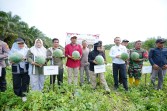 Bupati Siak Afni Apresiasi Pemanfaatan Dana Desa untuk Ketahanan Pangan