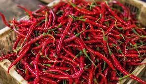 Atasi Harga Cabai Mahal, Pemprov Riau Gelar Pasar Tani