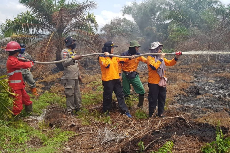 Sejak Januari-Februari Total Luas Lahan Terbakar di Riau 19,10 Hektare