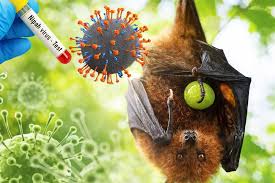 Diskes Riau Imbau Masyarakat Waspada Ancaman Virus Nipah