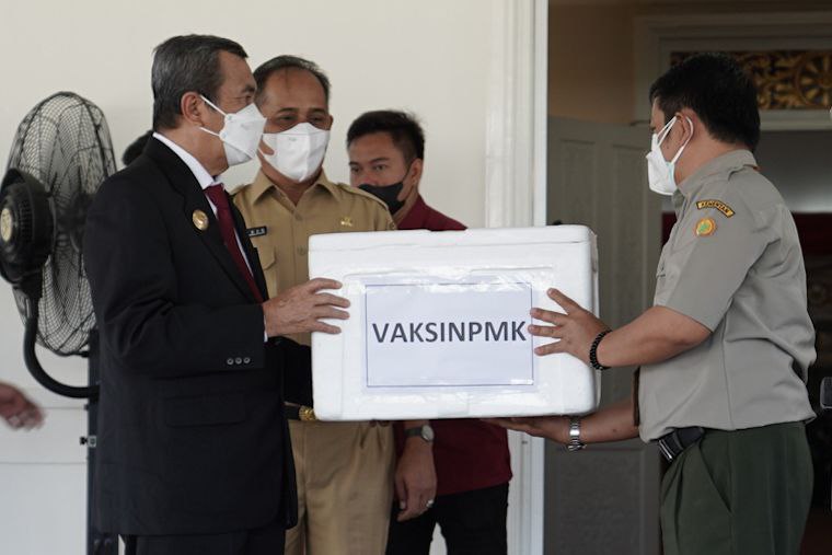 Cegah Penyebaran PMK di Riau, 7.400 Dosis Vaksin Siap Distribusi