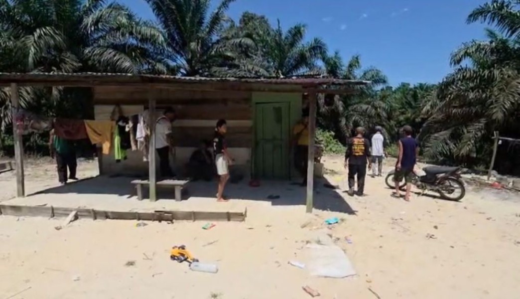 Gajah Liar Mengamuk di Permukiman Masyarakat, Satu Warga Rumbai Jadi Korban