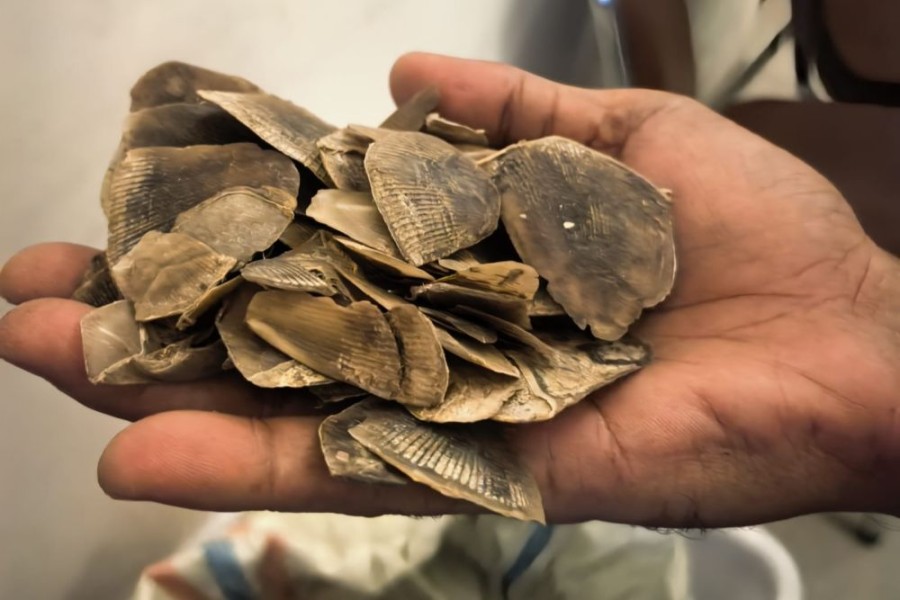 Polisi Gagalkan Perdagangan Sisik Tenggiling 30 Kg di Rokan Hilir