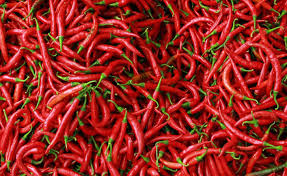 Pemprov Riau Datangkan 1 Ton Cabai Merah Dari Sleman, Dijual Rp58 Ribu per Kg