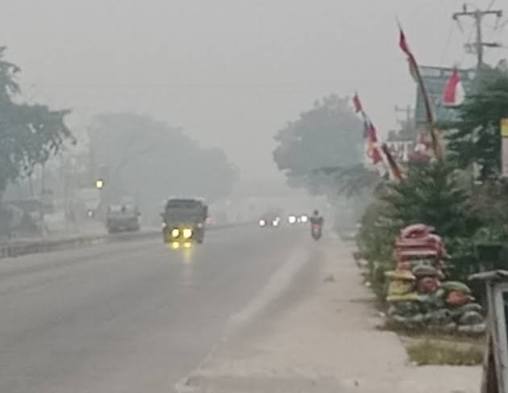 Ada 177 Orang Kena ISPA Seiring Kualitas Udara Kota Pekanbaru yang Menurun