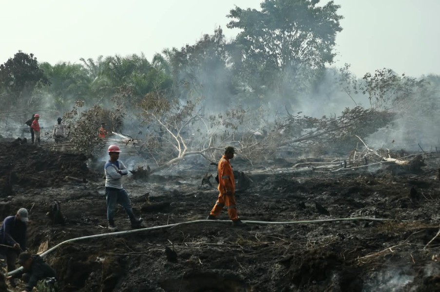 Heli Water Bombing Dikerahkan Padamkan Karhutla di Inhu dan Bengkalis