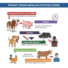 Indragiri Hulu Tertinggi Kasus Penyakit Menular Hewan Strategis di Riau
