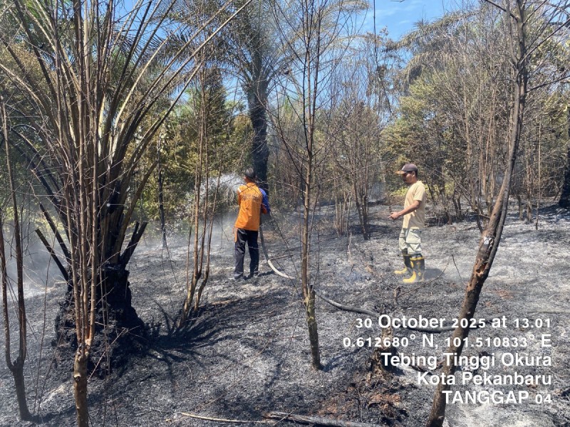 Tim BPBD Kota Pekanbaru Padamkan Kebakaran Lahan di Tiga Lokasi