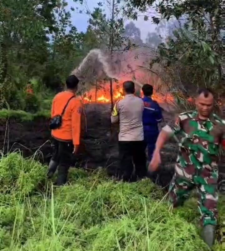 Satgas BPBD Pekanbaru Padamkan Kebakaran Lahan di Jalan Nelayan