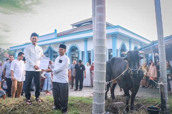 Wako Pekanbaru Serahkan Sapi Kurban Bantuan Presiden RI