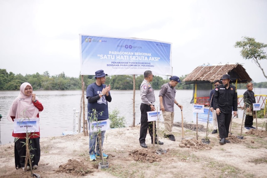 Peduli Lingkungan,DT Peduli Riau dan Paragoncorp Tanam Mangrove di Taman Wisata Okura