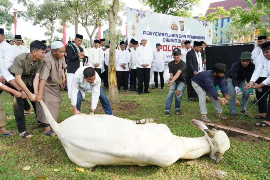 Polda Riau Salurkan 52 Hewan Kurban