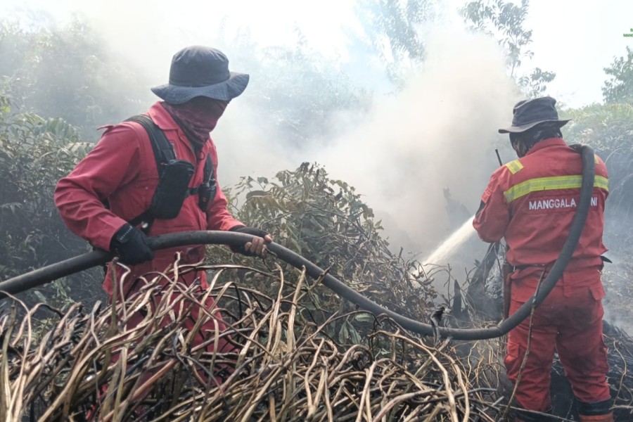 Pemkab Pelalawan Tetapkan Status Tanggap Darurat Bencana Karhutla