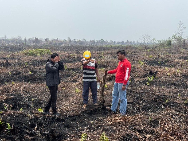 Pemilik Lahan Terbakar di Bengkalis Jadi Tersangka, Garap Kawasan Hutan Tanpa Izin