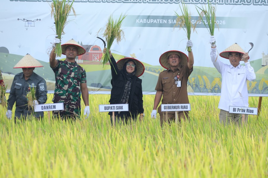 Smart Farming Binaan BI di Bunga Raya Tunjukkan Hasil, Produktivitas Padi Meningkat