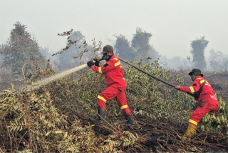 Gubernur Riau Minta Masyarakat Tetap Waspada Karhutla
