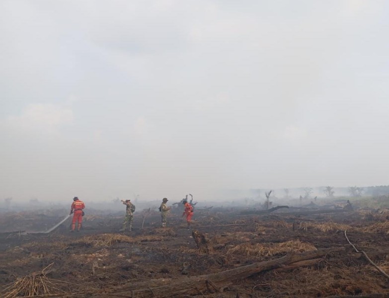 Tim Manggala Agni Atasi Kebakaran Hutan di Pelalawan dan Inhu