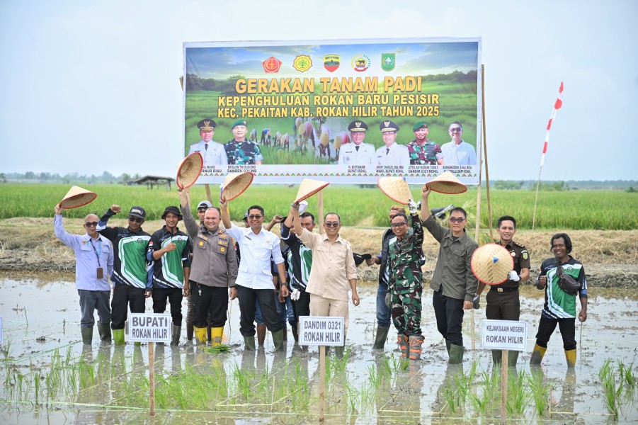 Tinjau Pabrik Kilang Padi di Rokan Baru, Wabup Rohil Dorong Revitalisasi dan Penguatan Sektor Pertanian