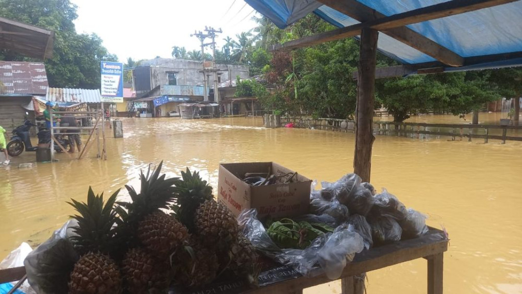 Ratusan Rumah Terendam Banjir di Riau