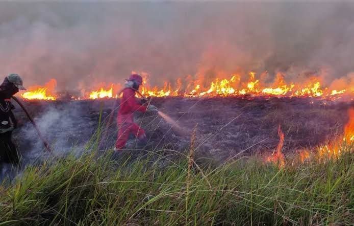 Pemprov Riau Perpanjang Status Tanggap Darurat Karhutla