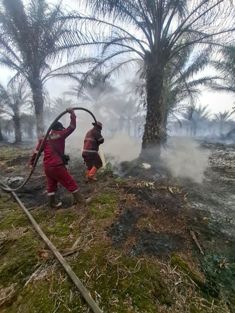 Manggala Agni Riau Padamkan Karhutla di 12 Titik