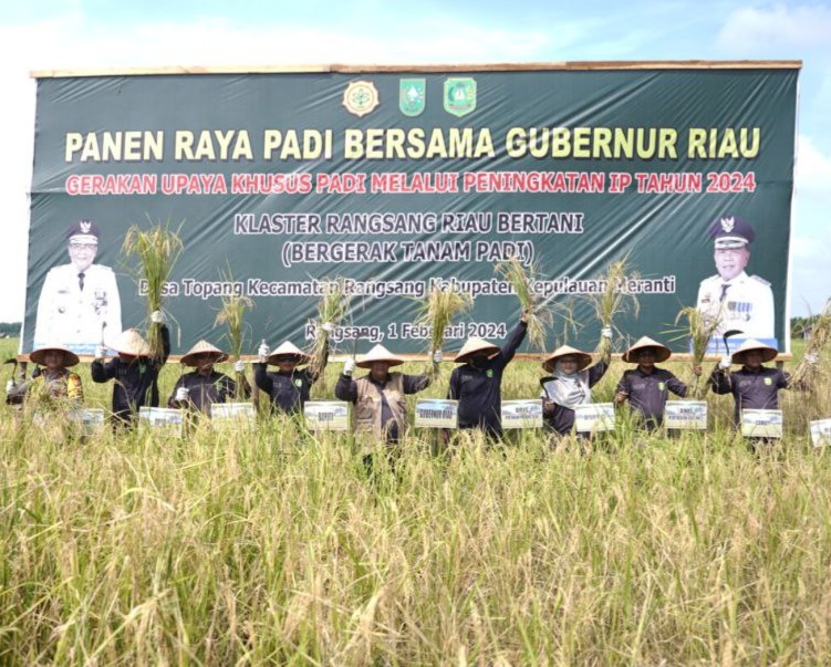 Produksi Padi Kepulauan Meranti Tertinggi di Riau