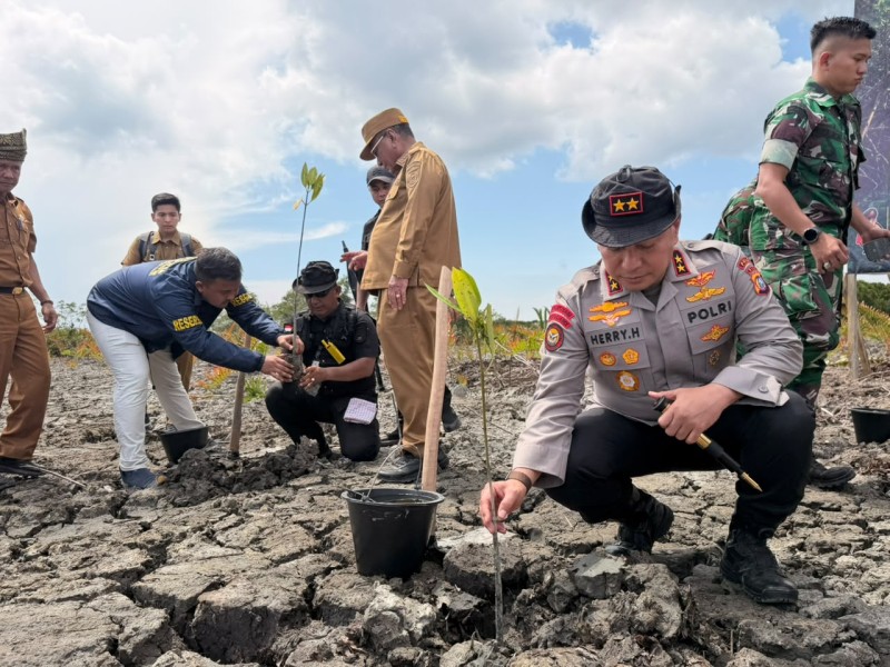 Usai Buka Kasus Perambahan, Polda Riau Pulihkan 118 Hektare Hutan Mangrove di Rokan Hilir