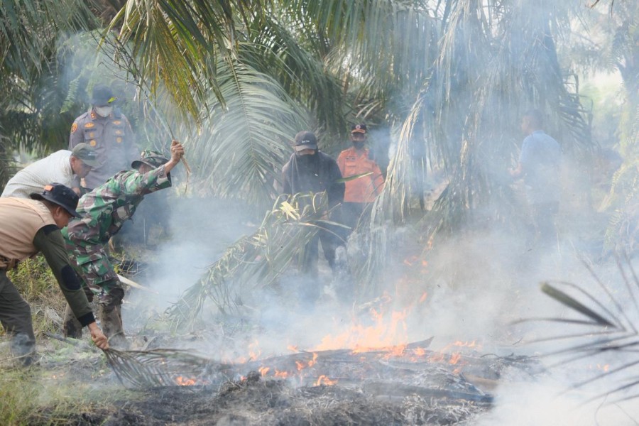 Kualitas Udara Pekanbaru Masih Tidak Sehat, Konsentrasi PM2.5 di level 68 µg/m3