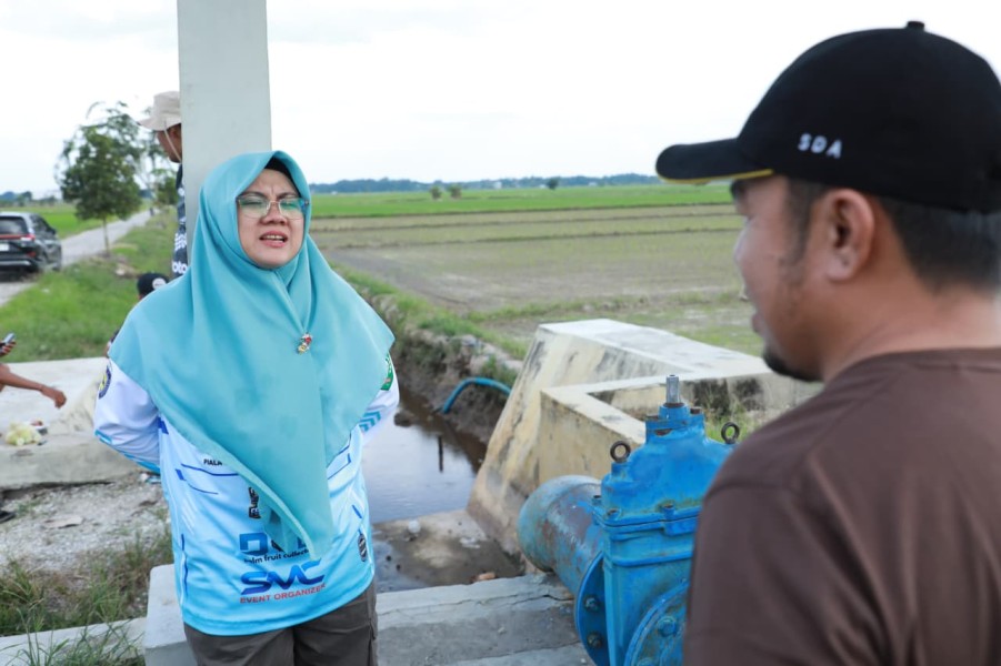Bupati Afni Bentuk Satgas Bersama, Upaya Pastikan Air Mengalir ke Sawah Warga