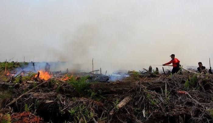 BNPB Minta Riau Segera Tetapkan Status Tanggap Darurat Karhutla
