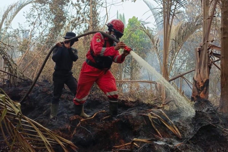 5 Hektare Lahan Yang Terbakar Di Kuala Kampar Berhasil Dipadamkan