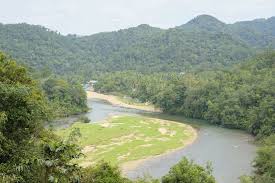 Rambah Hutan Bukit Rimbang Baling, Dua Orang Ditangkap Polisi