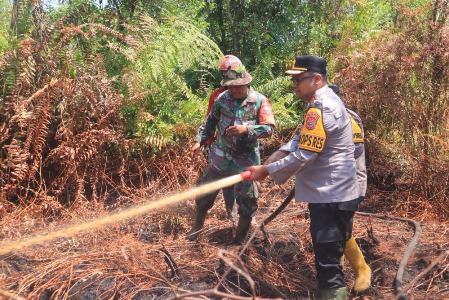 Karhutla di Riau Nihil, Daerah Memasuki Musim Peralihan Hujan