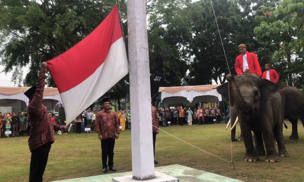 BKSDA Riau Libatkan Tiga Gajah Pada Momen Pengibaran Bendera