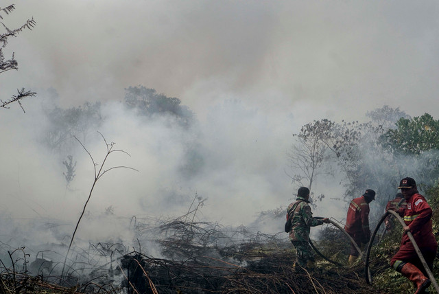 Kualitas Udara Pekanbaru Masuk Kategori Tidak Sehat
