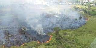 Luas Lahan Terbakar di Riau Capai 990 Ha