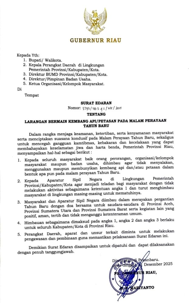 Pemprov Riau Keluarkan SE Larangan Penggunaan Kembang Api di Malam Tahun Baru
