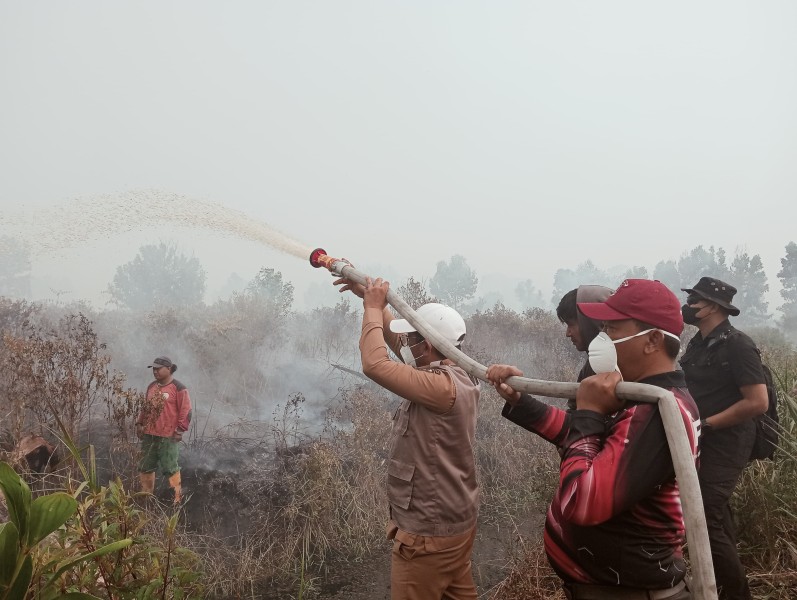 Kebakaran Lahan Gambut Kerumutan Tembus 969 Hektare