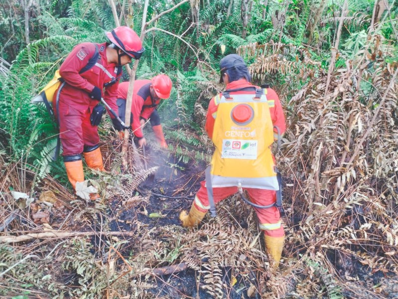 Manggala Agni Berupaya Padamkan Karhutla  di Rohil dan Bengkalis
