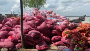 TNI Berhasil Amankan Puluhan Ton Bawang dan Cabai Ilegal dari Kepri di Inhil