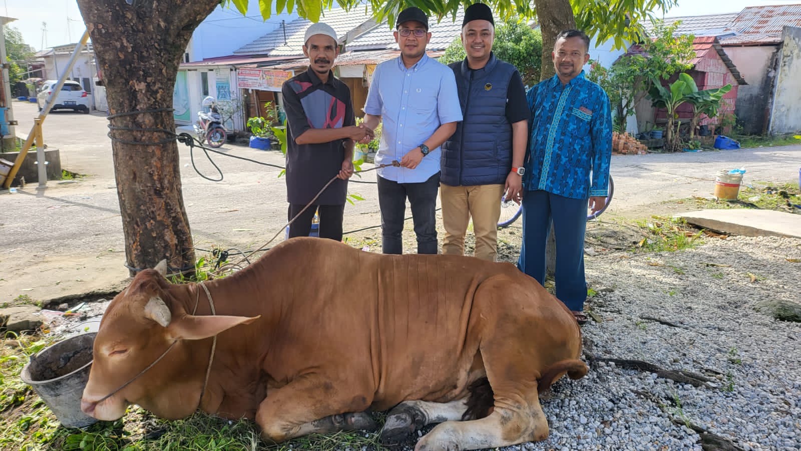Garda Pemuda Nasdem Serahkan Sapi Qurban Menteri LHK Kepada Warga Sialang Munggu