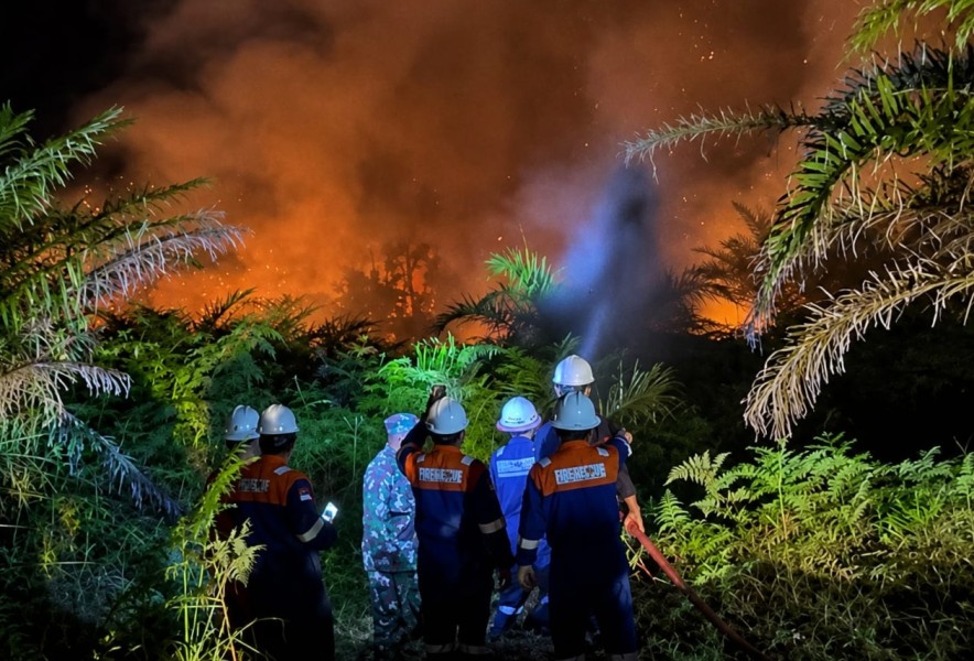 Kabut Asap Karhutla Mengancam, Bupati Siak Minta PKS Setop Bakar Janjang Kosong
