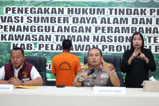 Polda Riau Tangkap Tokoh Adat yang Menjual Lahan TNTN