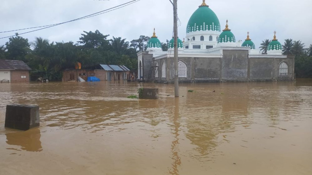 Empat Kabupaten di Riau Terendam Banjir