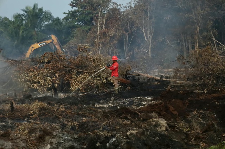 Karhutla Riau Mulai Berkurang,Pemadaman Fokus di Bengkalis, Inhu, dan Inhil
